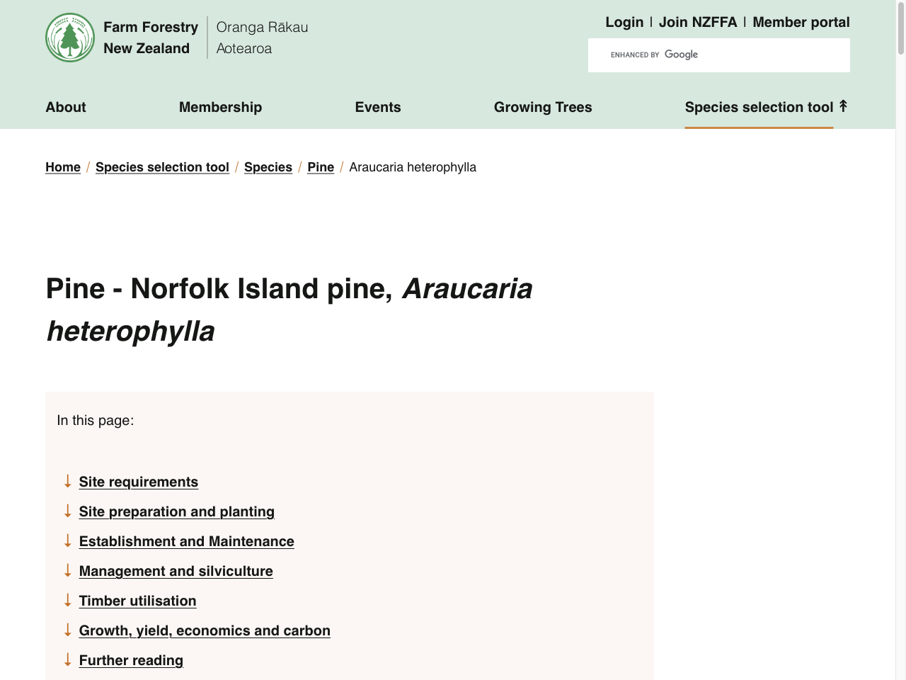 Preview of Norfolk Island pine - Araucaria heterophylla - NZ Farm Forestry Association, accessed July 30, 2025,