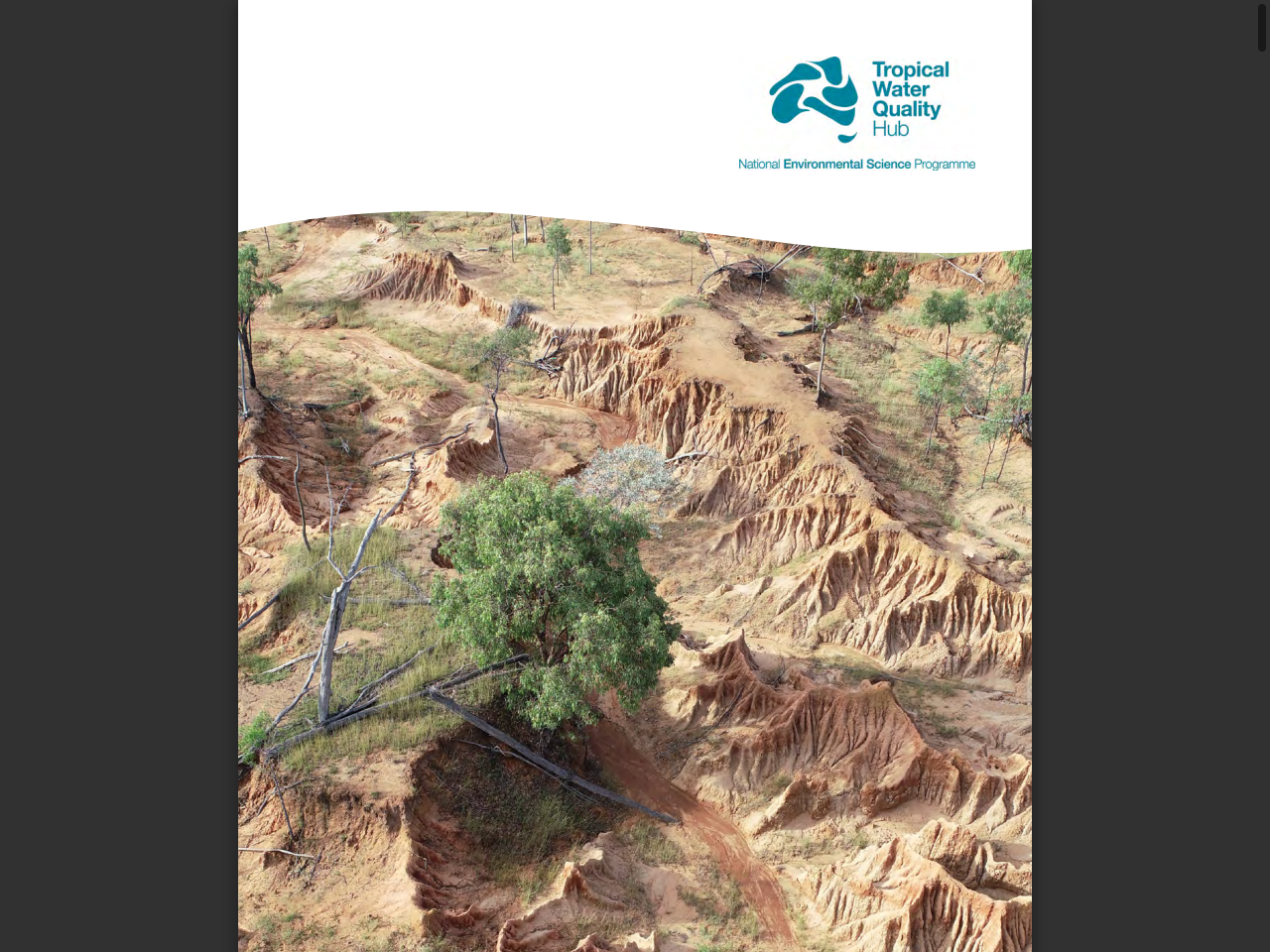 Preview of Lessons for Gully Management | NESP TWQ, accessed August 1, 2025, 