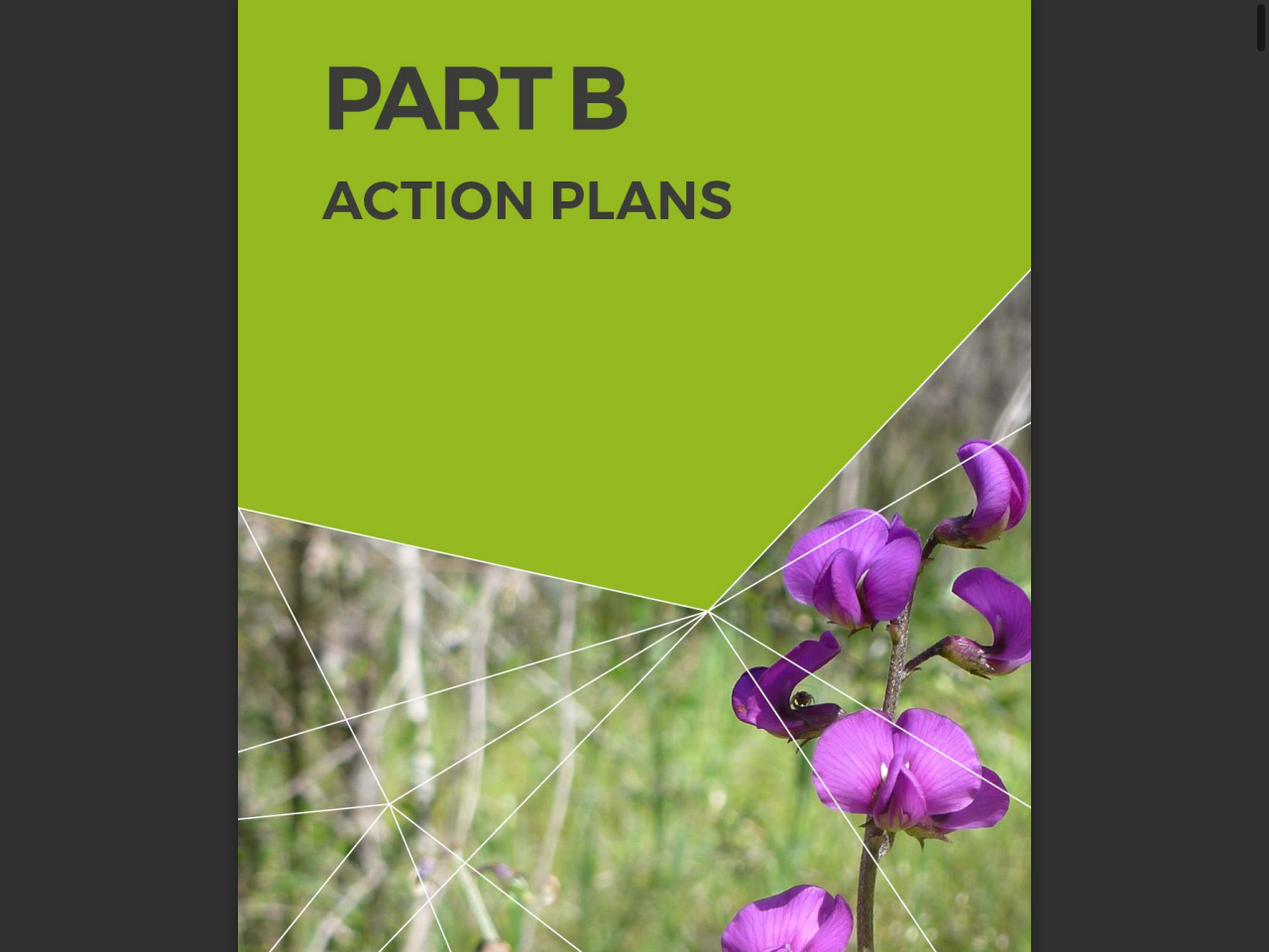 Preview of Offset Management Plan for Iron-grass Natural Temperate Grassland in South Australia