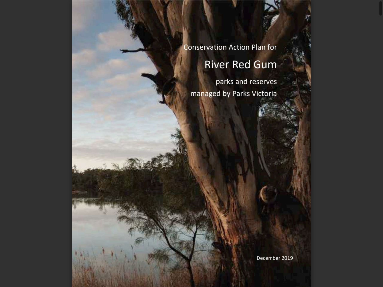 Preview of Conservation Action Plan for - River Red Gum - Parks Victoria, accessed July 19, 2025