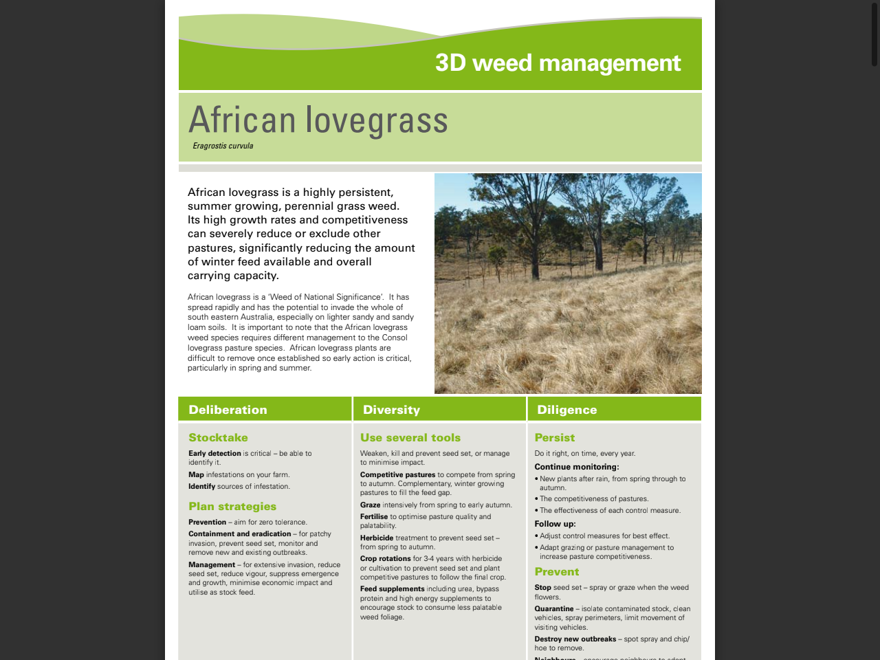 Preview of African lovegrass - Australian Wool Innovation, accessed July 7, 2025