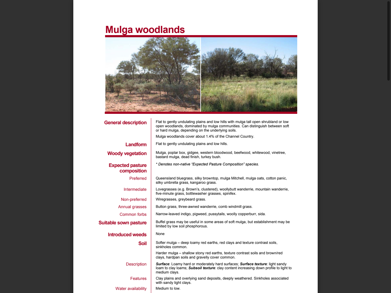 Preview of Mulga woodlands | FutureBeef