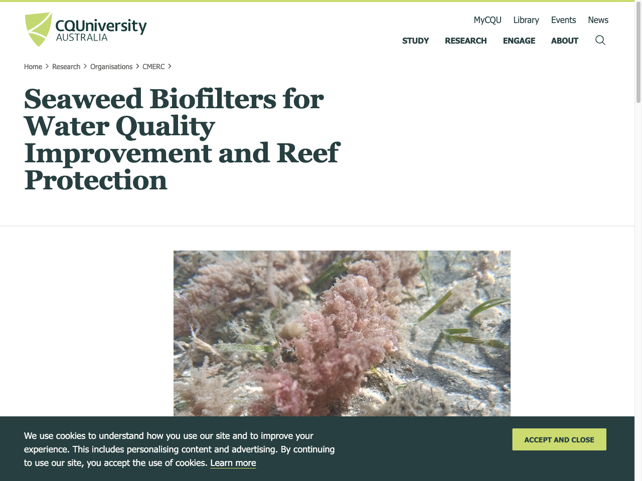 Preview of Seaweed Biofilters for Water Quality Improvement and Reef Protection - CQUniversity, accessed August 1, 2025