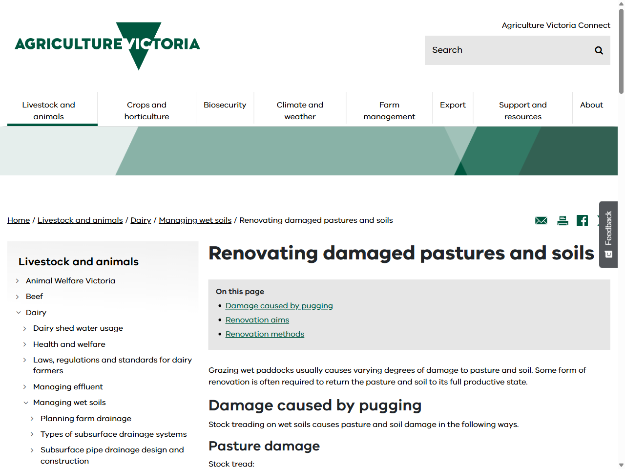 Preview of Renovating damaged pastures and soils | Managing wet soils | Dairy | Livestock and animals | Agriculture Victoria