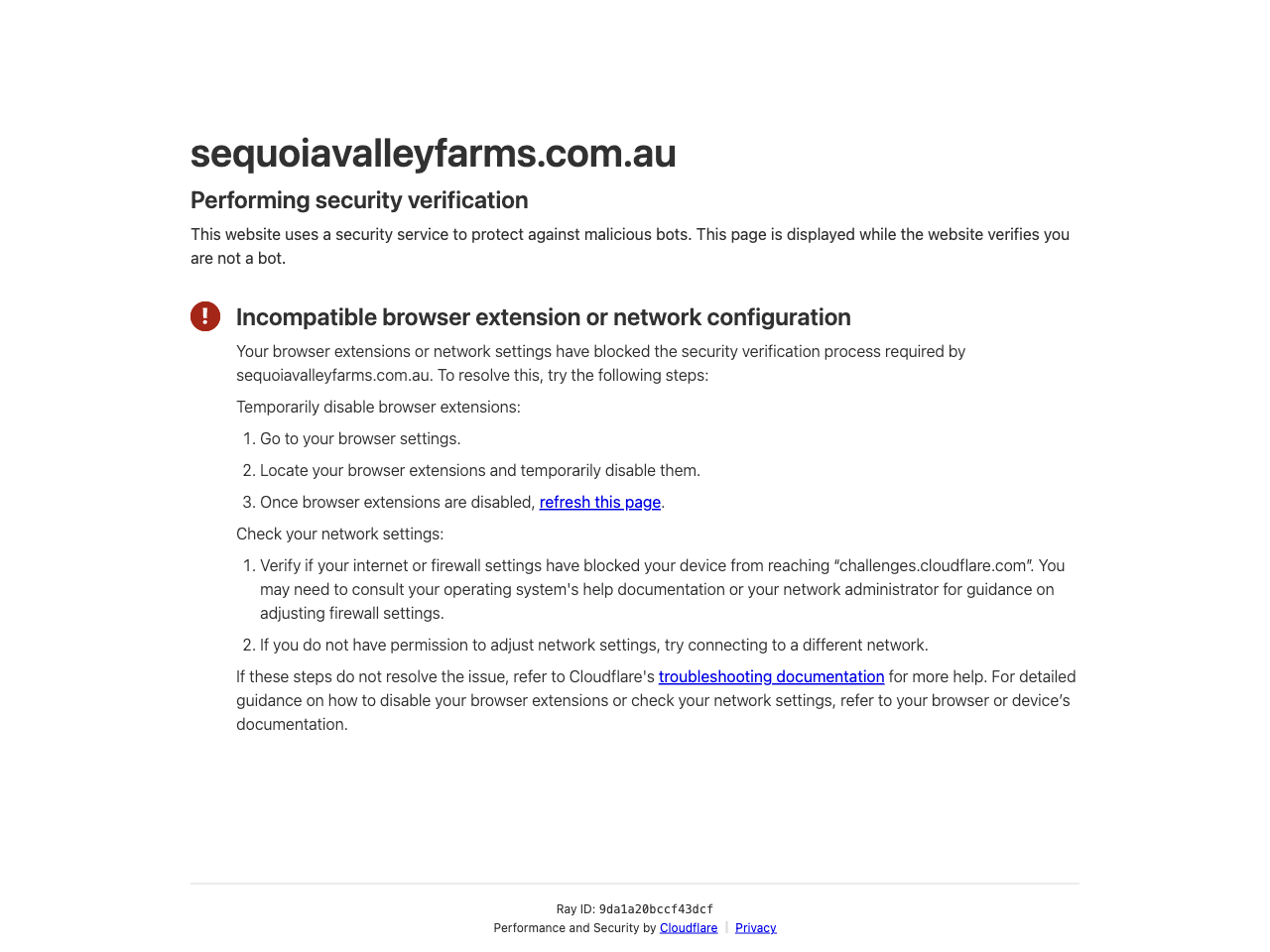 Preview of Grow The Glorious Norfolk Island Pine In Your Garden - Sequoia Valley Farms, accessed July 30, 2025,