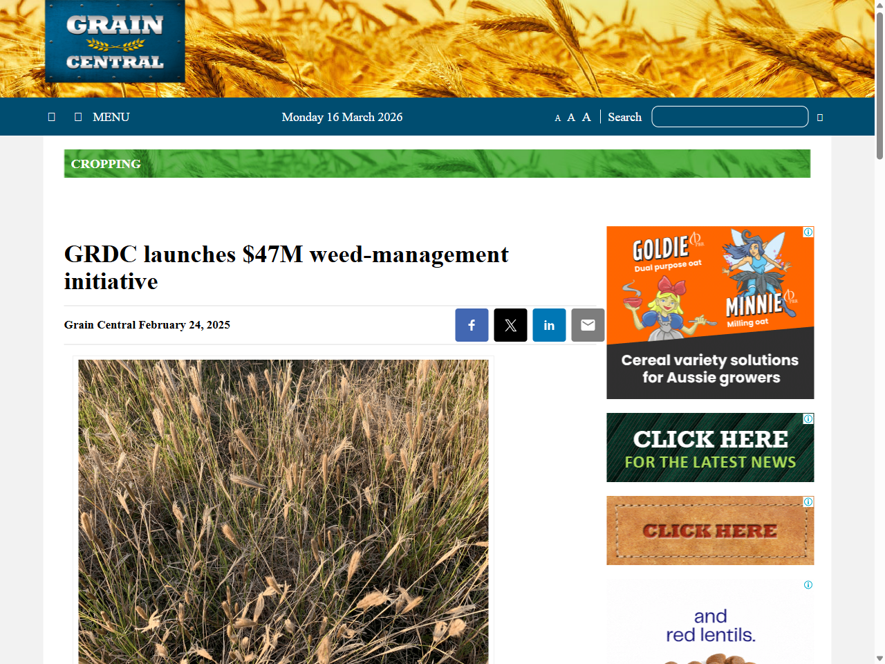Preview of GRDC launches $47M weed-management initiative - Grain Central, accessed July 7, 2025