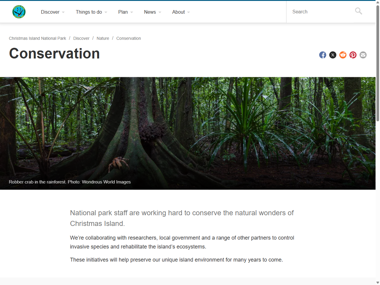 Preview of feral-animals - Magnetic Island Nature Care Association, accessed August 2, 2025