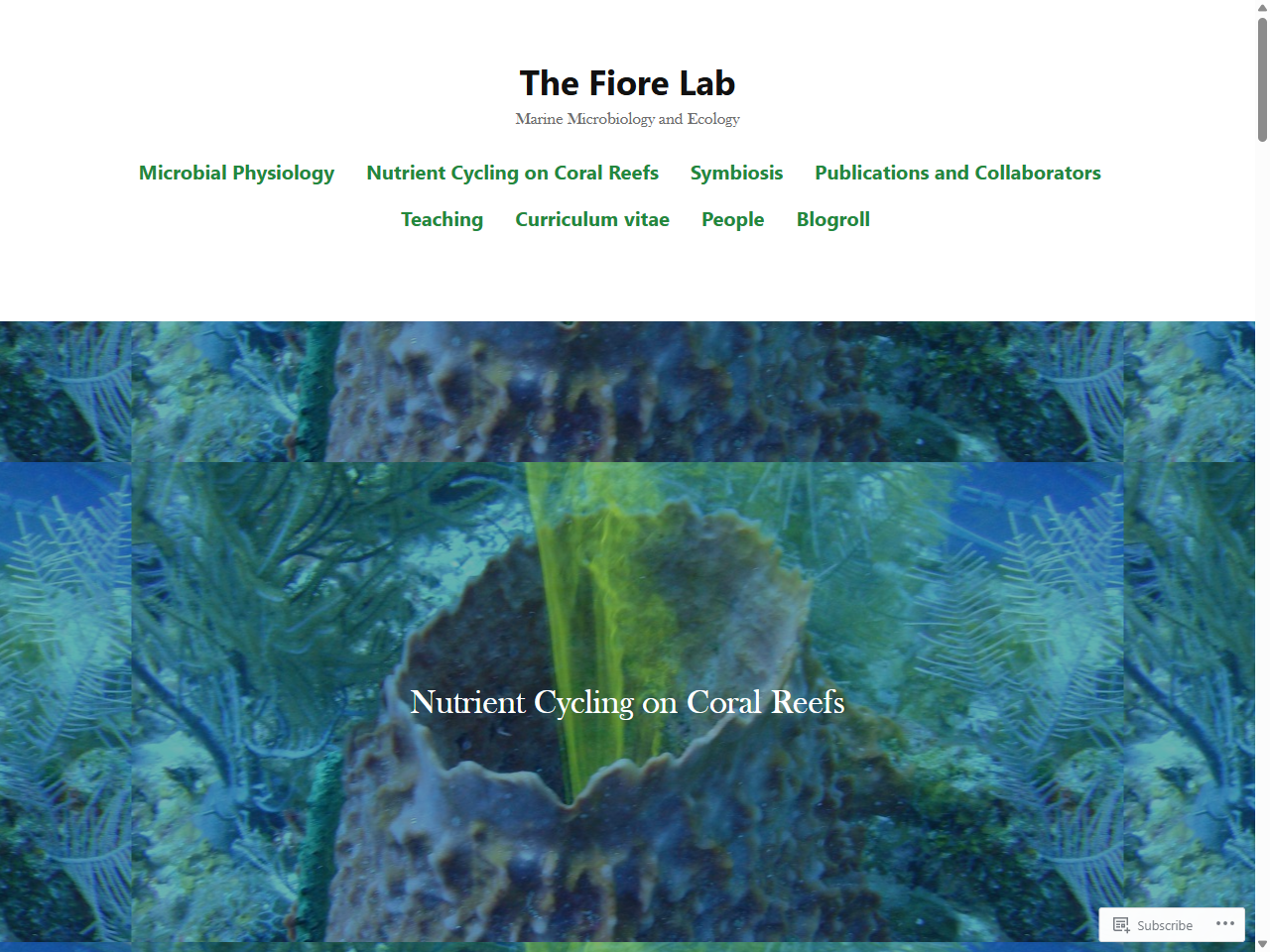 Preview of Nutrient Cycling on Coral Reefs - The Fiore Lab, accessed August 2, 2025,