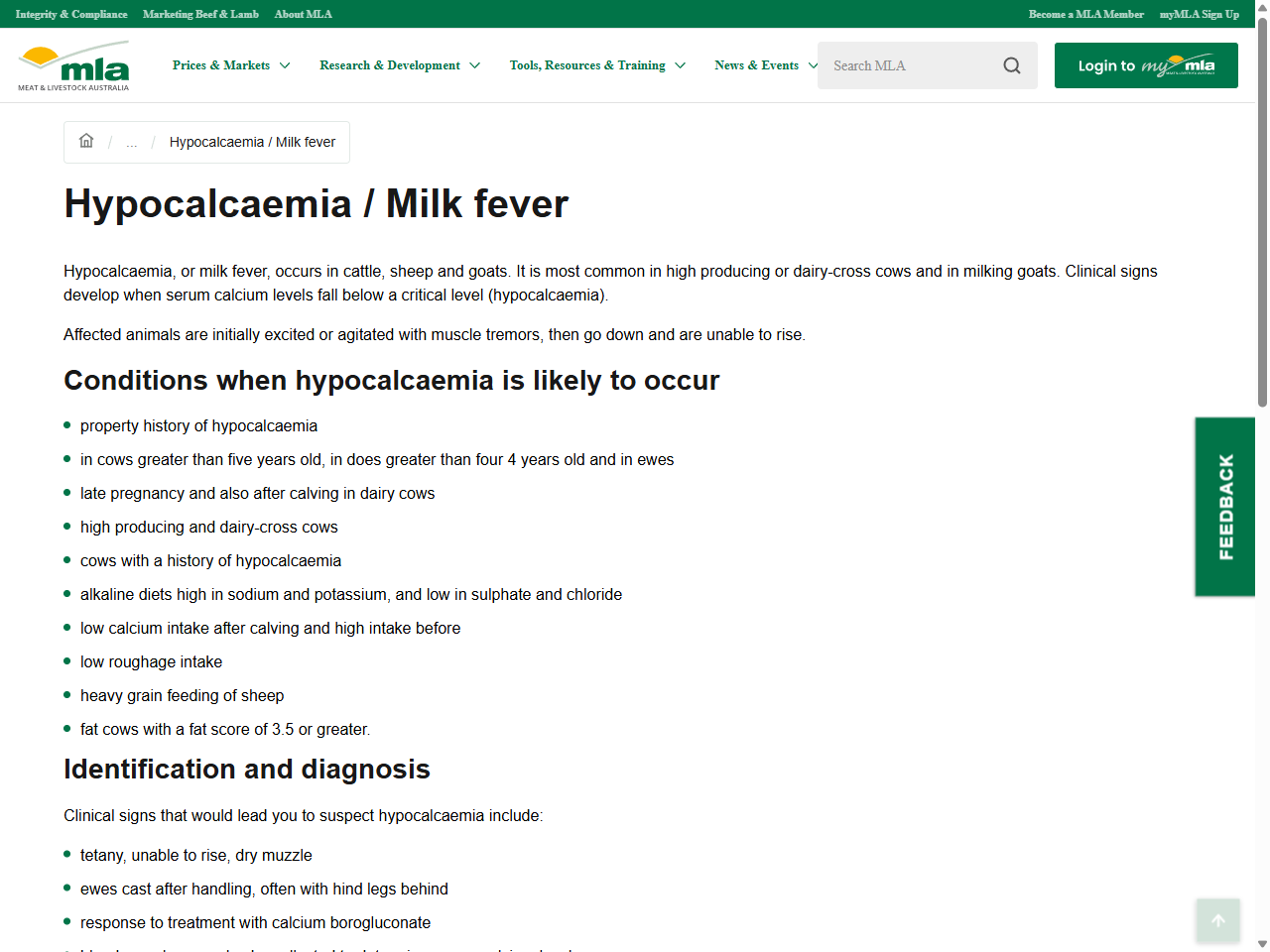 Preview of Hypocalcaemia / Milk fever | Meat & Livestock Australia - MLA, accessed July 10, 2025