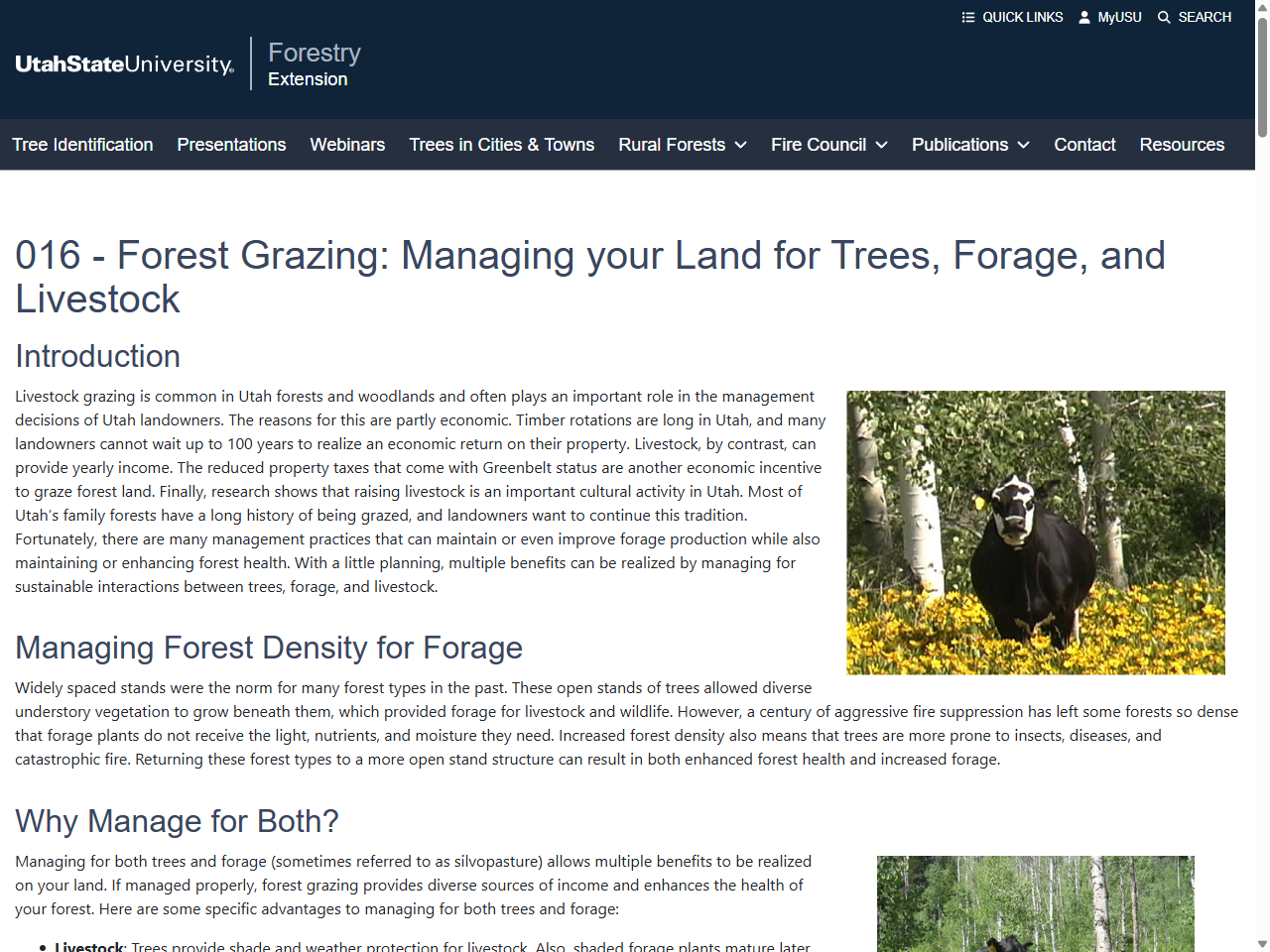 Preview of 016 - Forest Grazing: Managing your Land for Trees, Forage, and Livestock | Fact Sheets | Publications | Forestry | Extension | USU, accessed July 10, 2025,