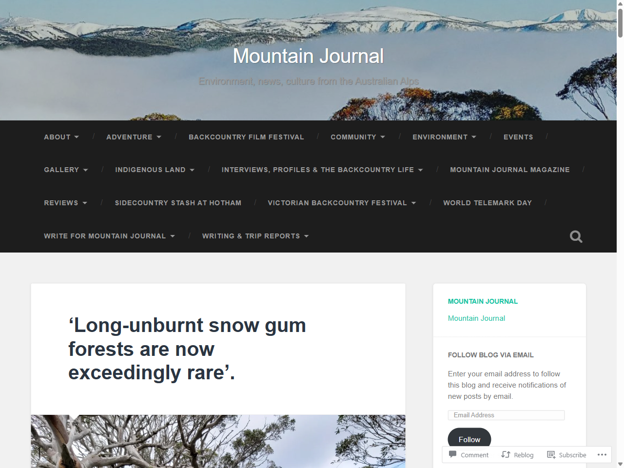 Preview of 'Long-unburnt snow gum forests are now exceedingly rare'. - Mountain Journal, accessed on May 28, 2025