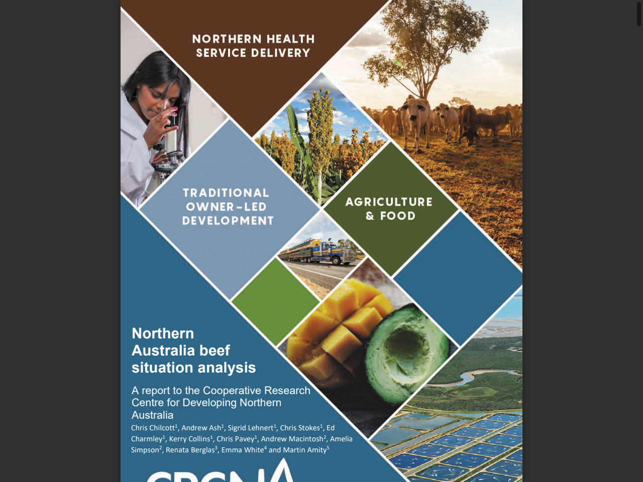 Preview of Northern Australia beef situation analysis - Cooperative Research ...