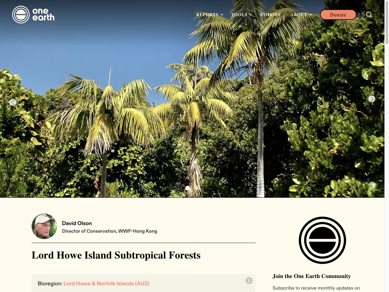 Preview of Lord Howe Island Subtropical Forests | One Earth, accessed July 30, 2025,