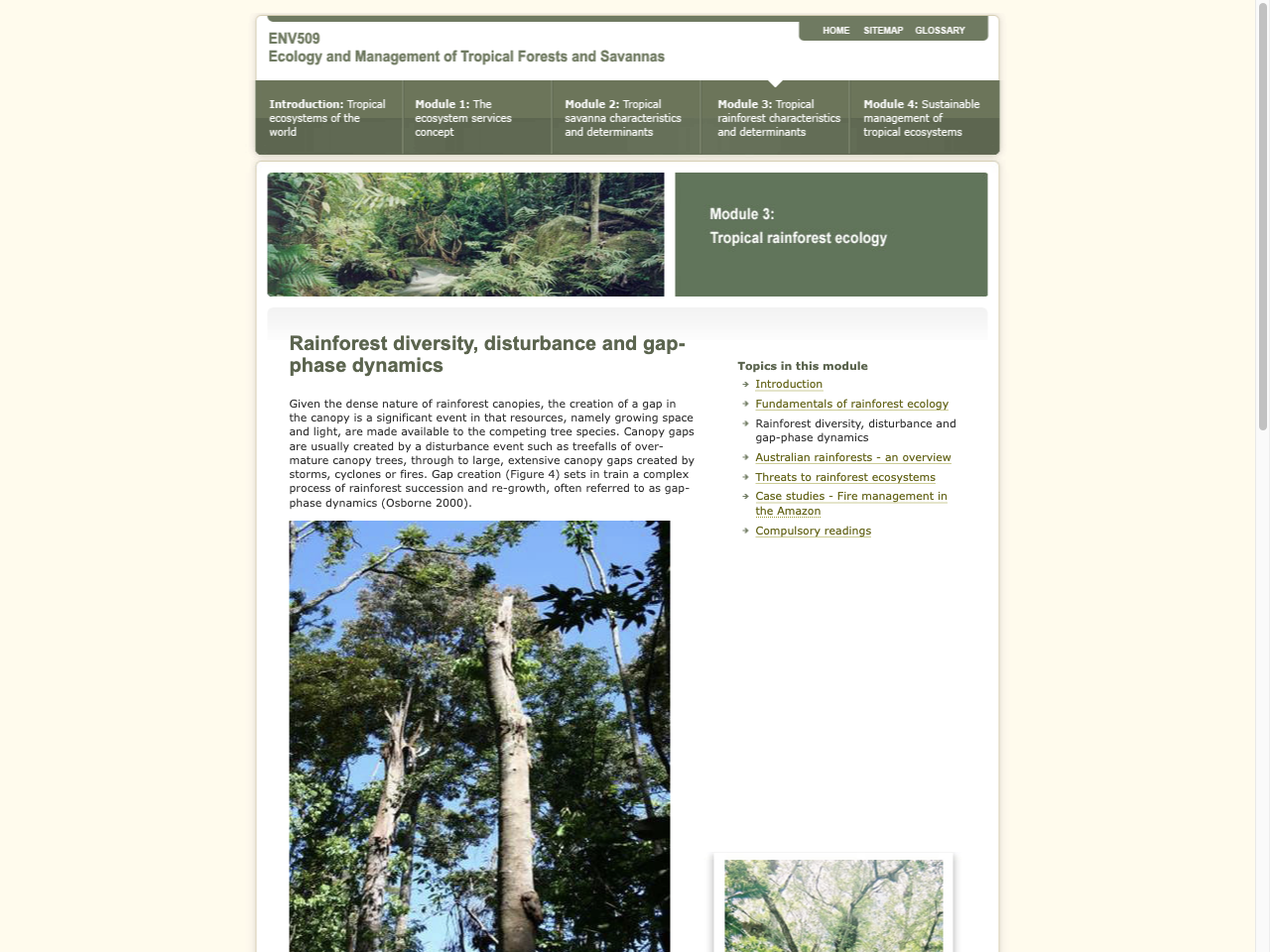 Preview of Module 3: Rainforest diversity, disturbance and gap-phase dynamics - Learnline, accessed July 22, 2025, 