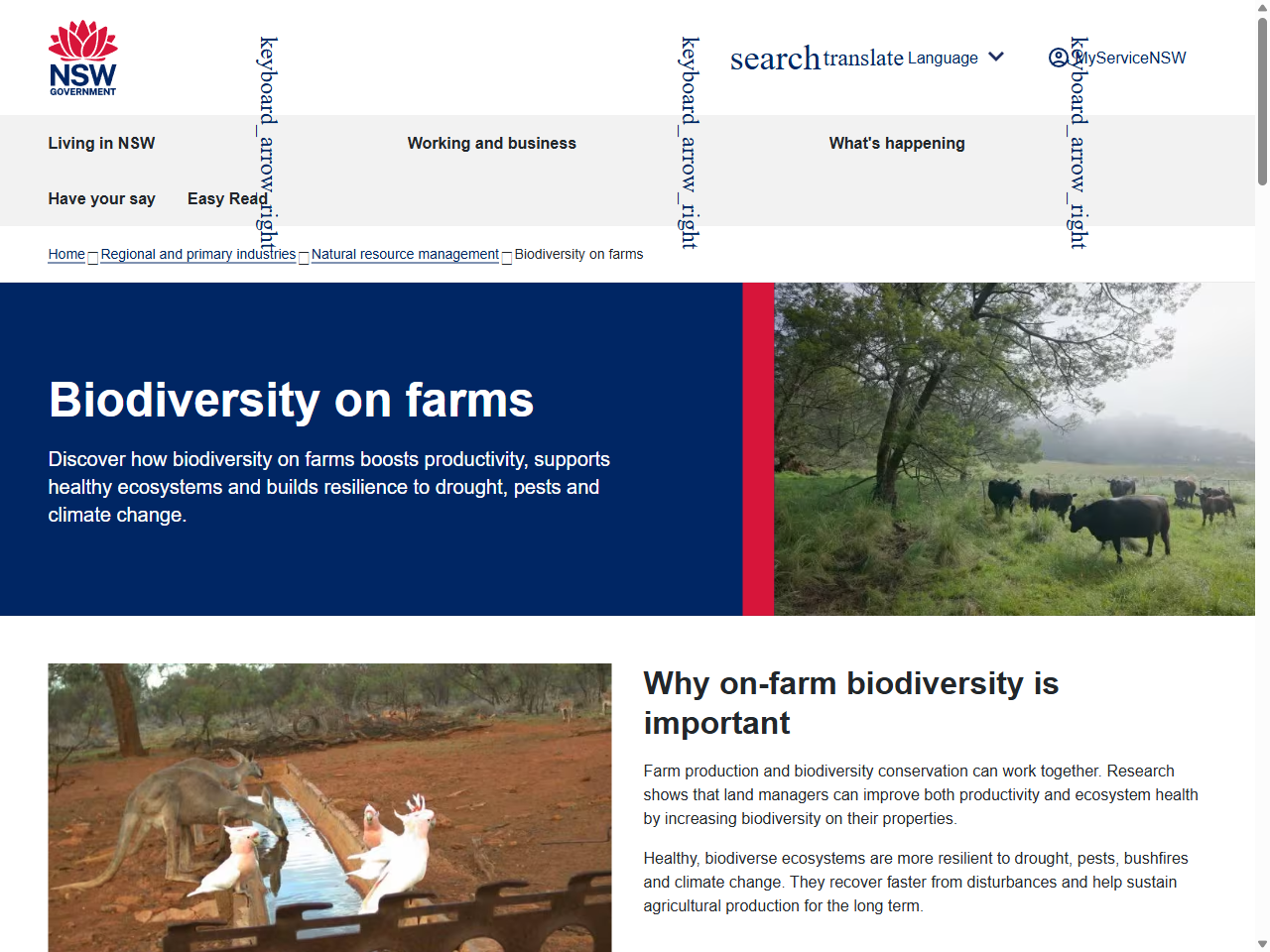 Preview of Box Gum Grassy Woodland: Social Study - Local Land Services, accessed August 12, 2025, 