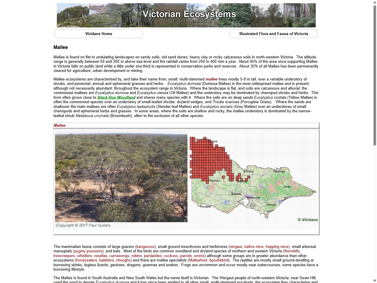 Preview of Victorian Ecosystems - Mallee - Viridans Biological Databases, accessed July 11, 2025, 