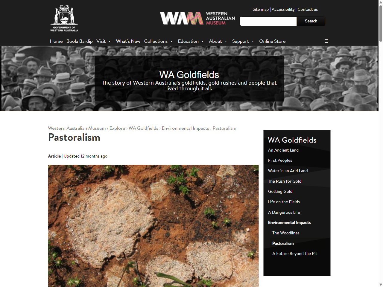 Preview of Thresholds of biodiversity and ecosystem function in a forest ecosystem undergoing dieback