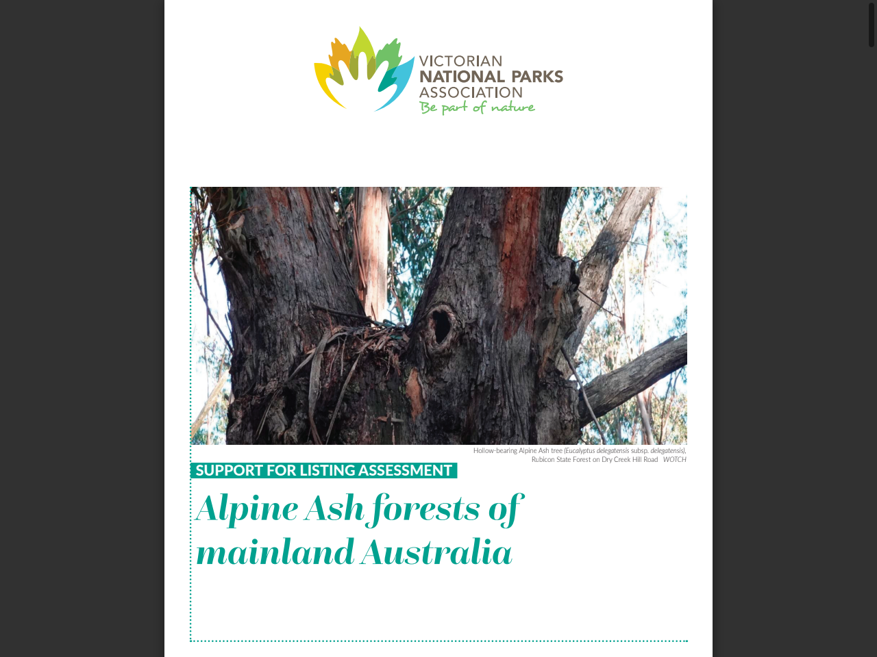 Preview of Bago State Forest - Snowy Valleys Tourism Upgrade Program - Forestry Corporation