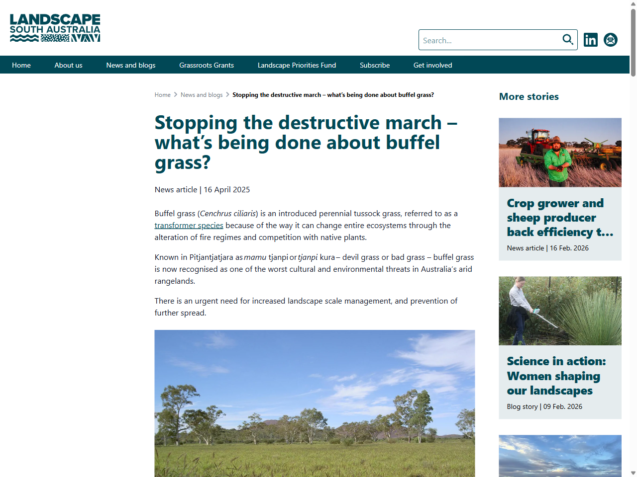 Preview of Stopping the destructive march – what's being… | Landscape ..., accessed July 6, 2025,