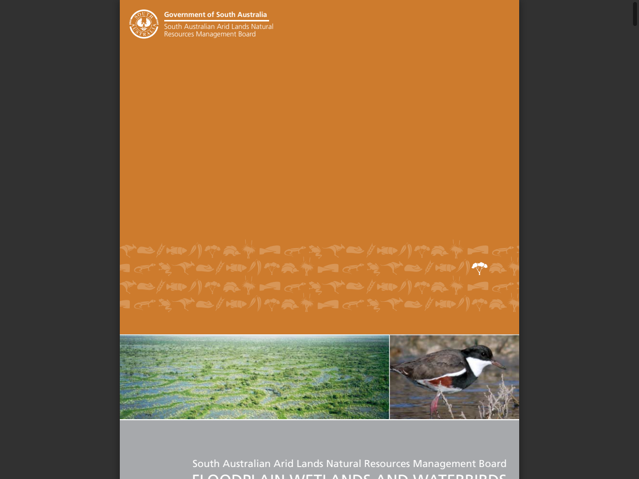 Preview of FLOODPLAIN WETLANDS AND WATERBIRDS OF THE CHANNEL COUNTRY - Department for Environment and Water, accessed July 21, 2025, 