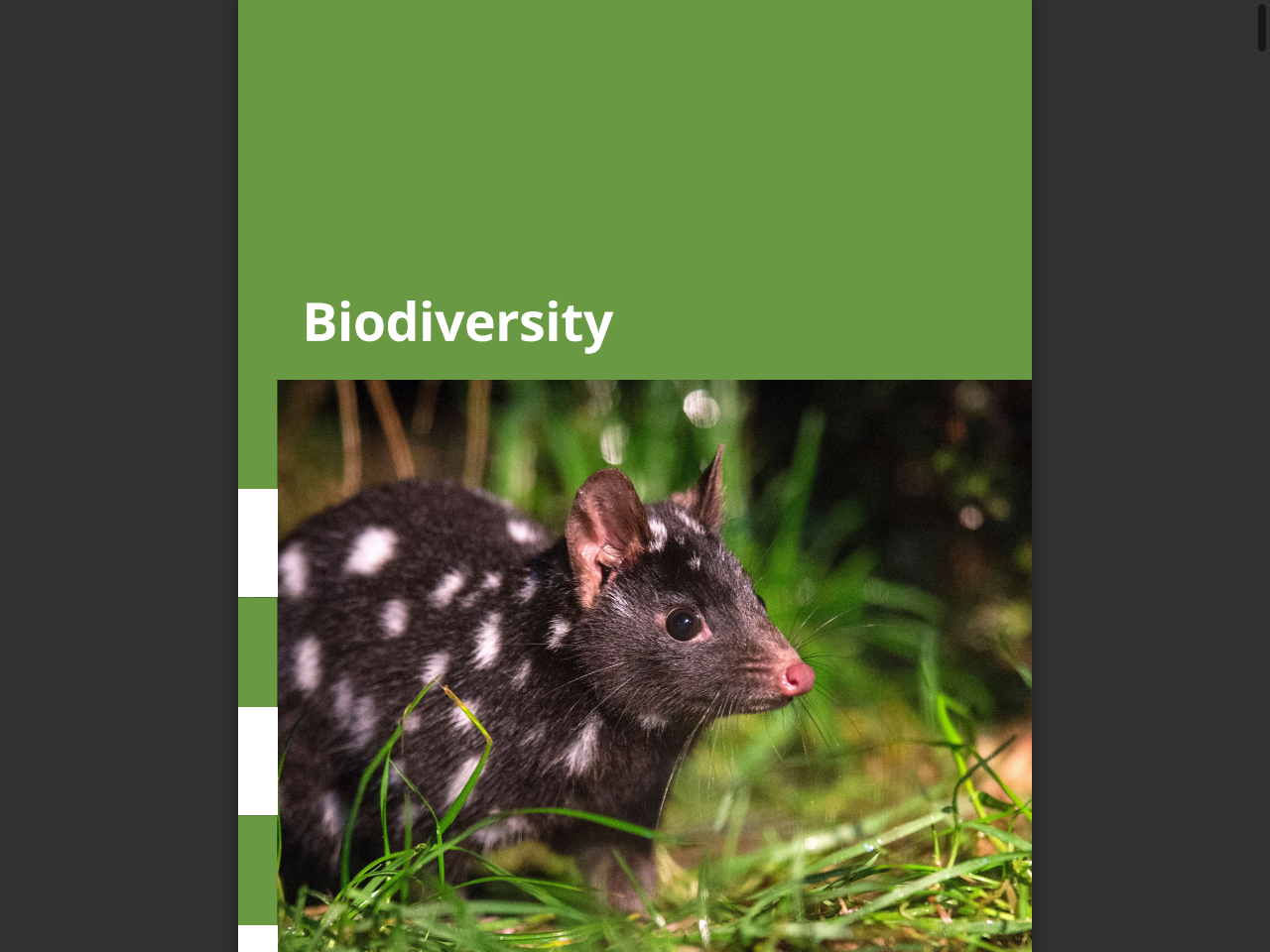 Preview of 2024 State of the Environment Report - Tasmanian Planning Commission, accessed on May 25, 2025,