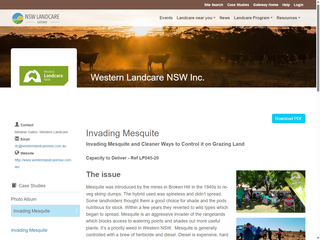 Preview of Invading Mesquite - NSW Landcare Gateway, accessed July 13, 2025