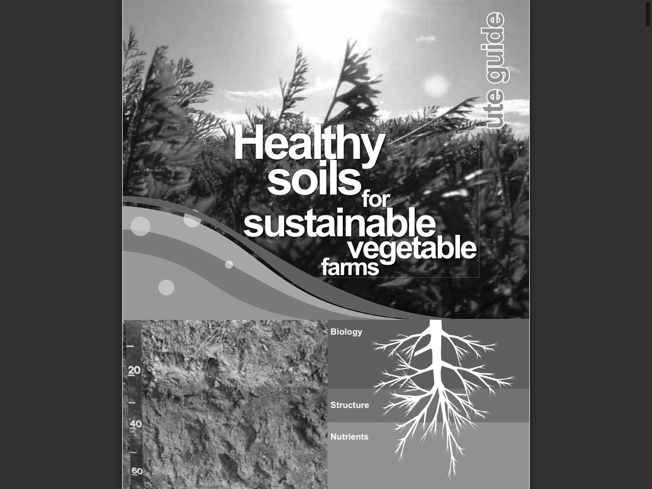 Preview of oleander-blackbird-fhxj.squarespace.com