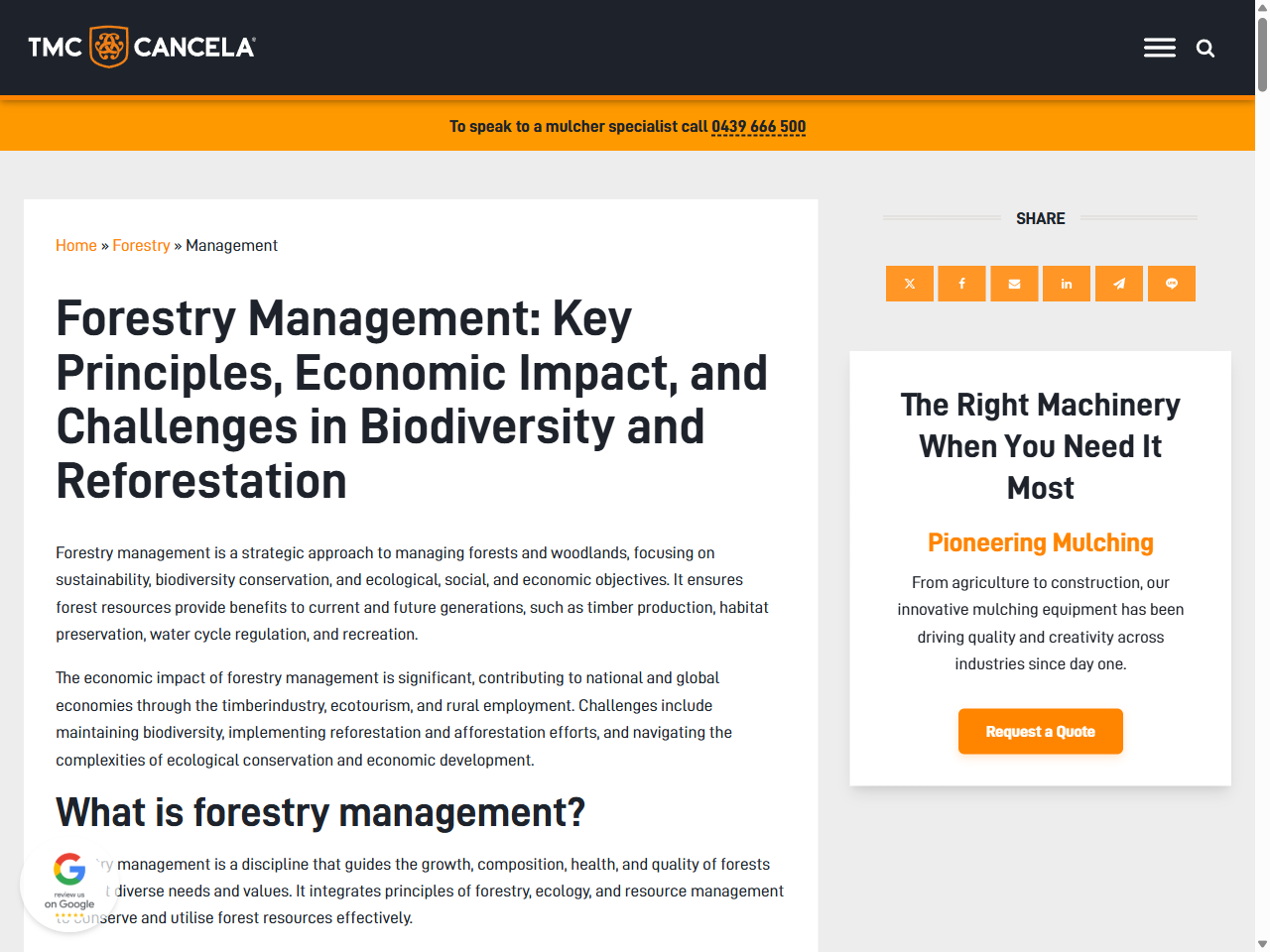 Preview of Forestry Management: Key Principles, Economic Impact, and Challenges in Biodiversity and Reforestation