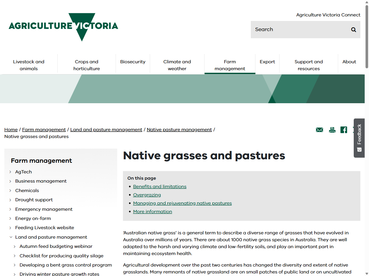 Preview of Native grasses and pastures - Agriculture Victoria, accessed July 7, 2025