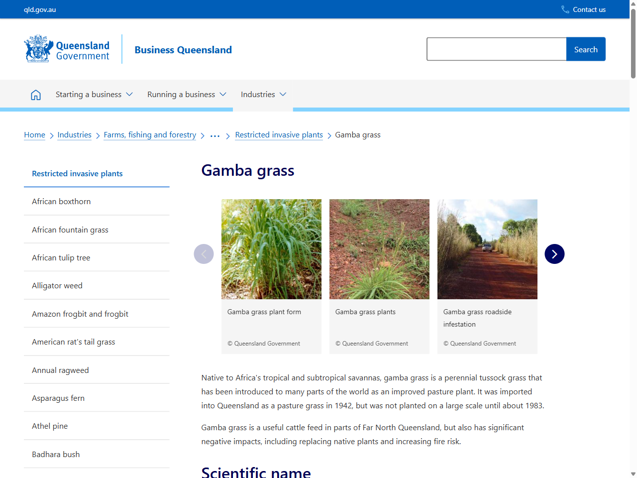 Preview of Control gamba grass | NT.GOV.AU, accessed July 23, 2025