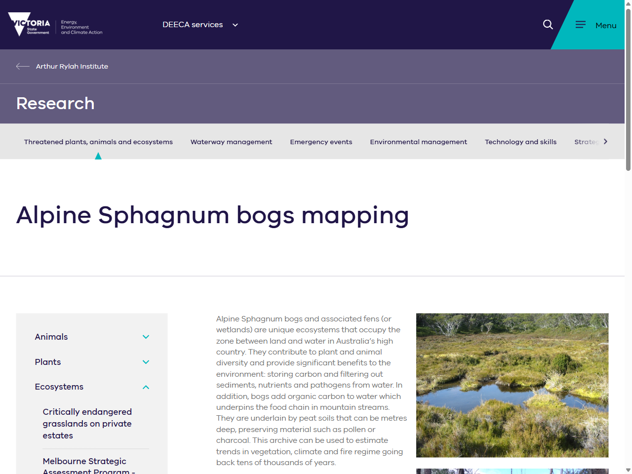 Preview of Alpine Sphagnum bogs: if we map them, we can manage them