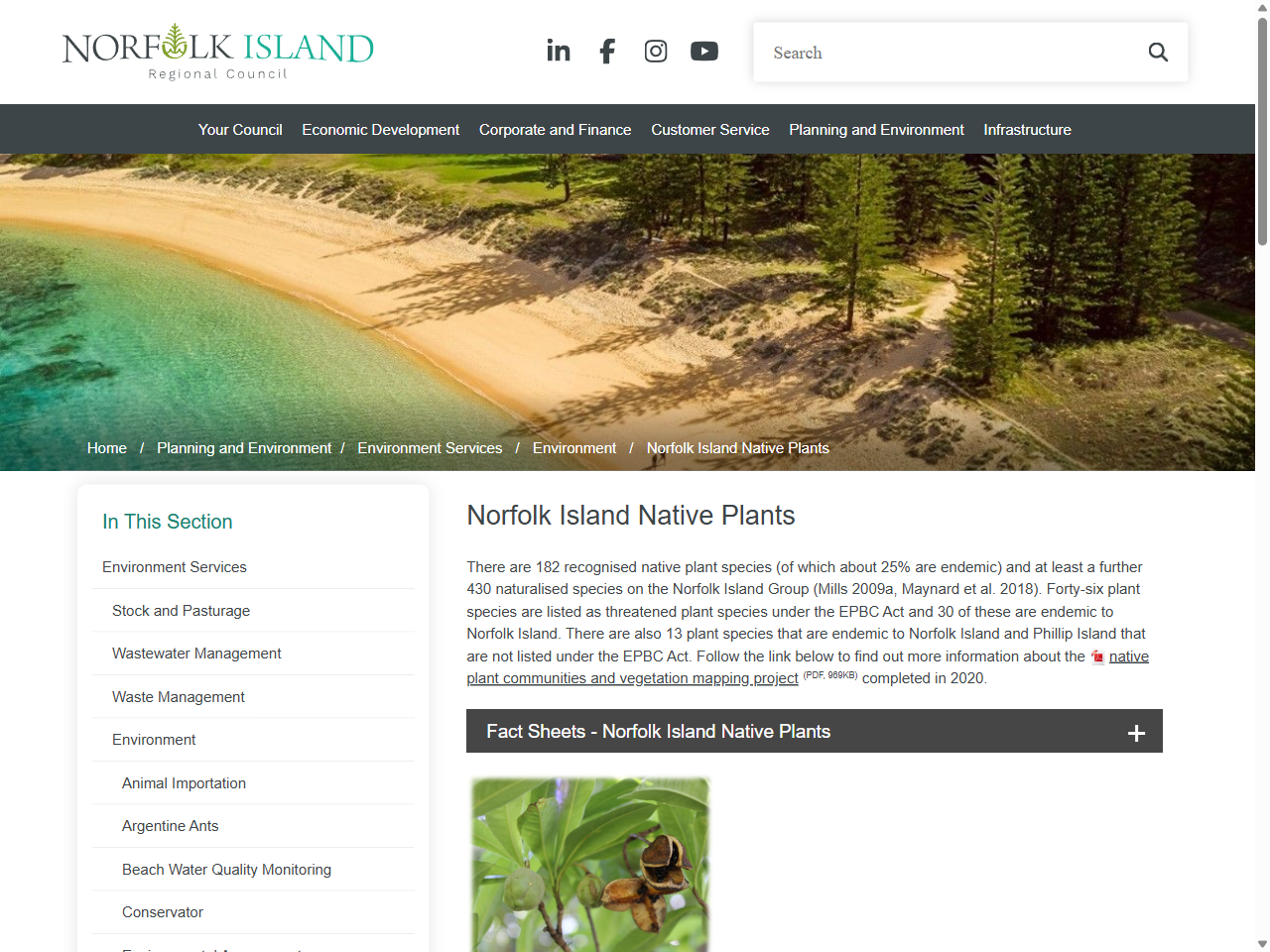 Preview of Lord Howe Island Subtropical Forests | One Earth, accessed August 1, 2025,