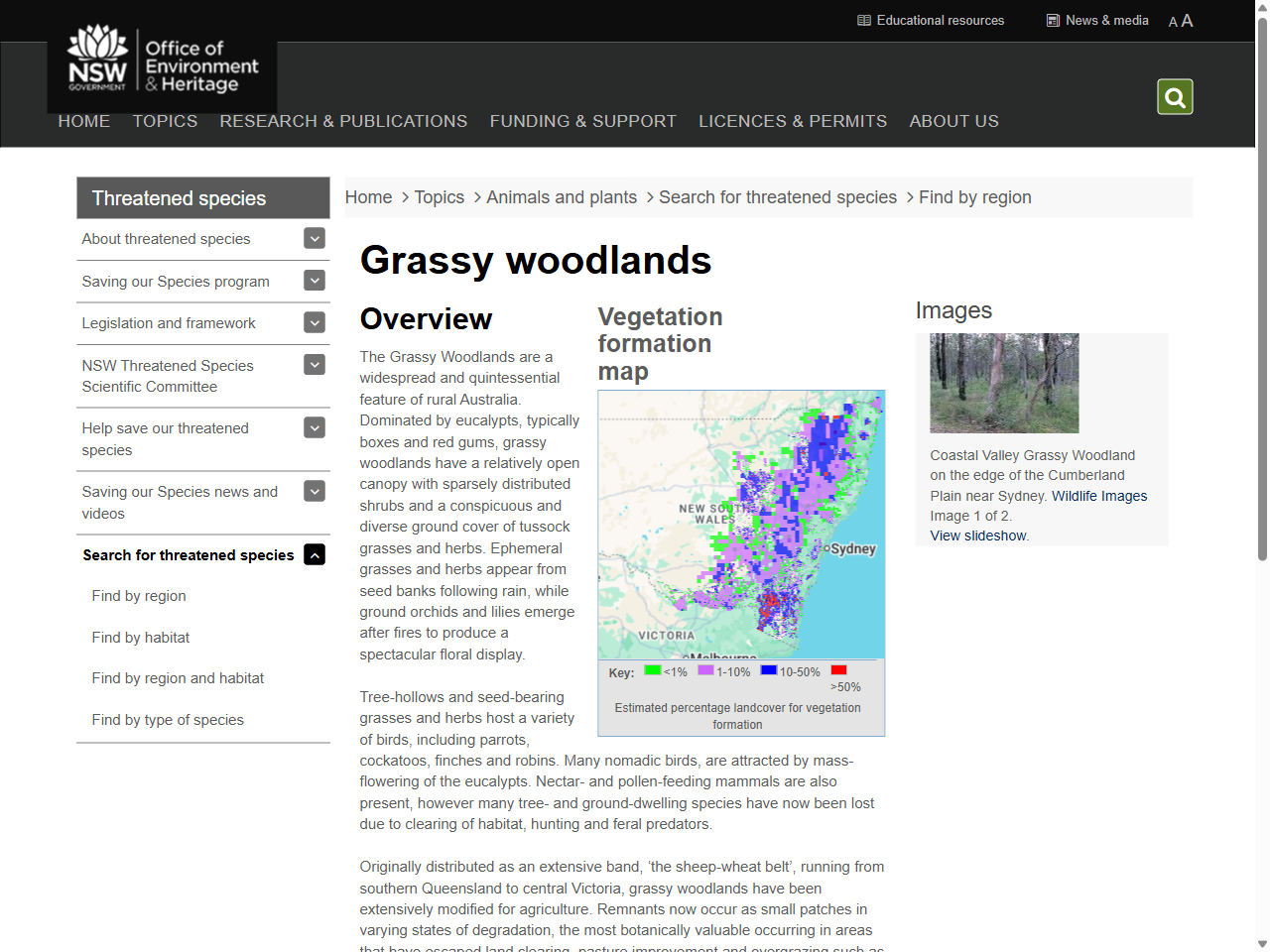 Preview of Grassy woodlands | NSW Environment, Energy and Science, accessed August 12, 2025, 