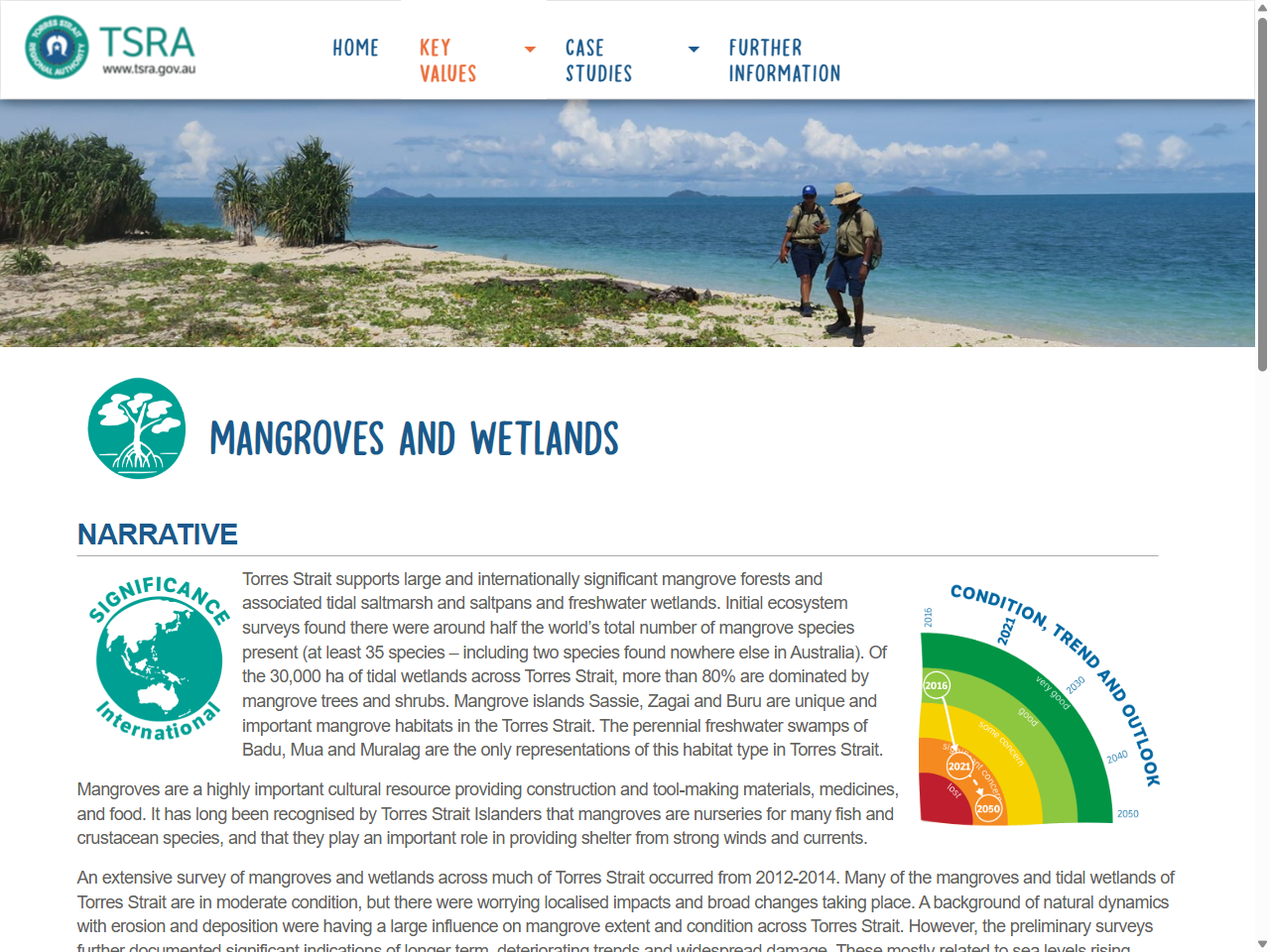 Preview of Mangroves and Wetlands | TSRA State of the Environment, accessed August 4, 2025,