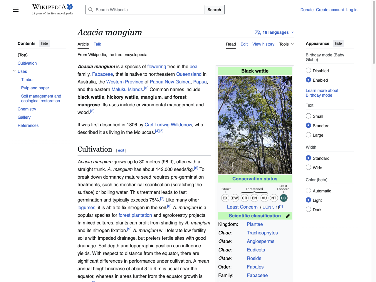 Preview of Acacia mangium - Wikipedia, accessed July 30, 2025,