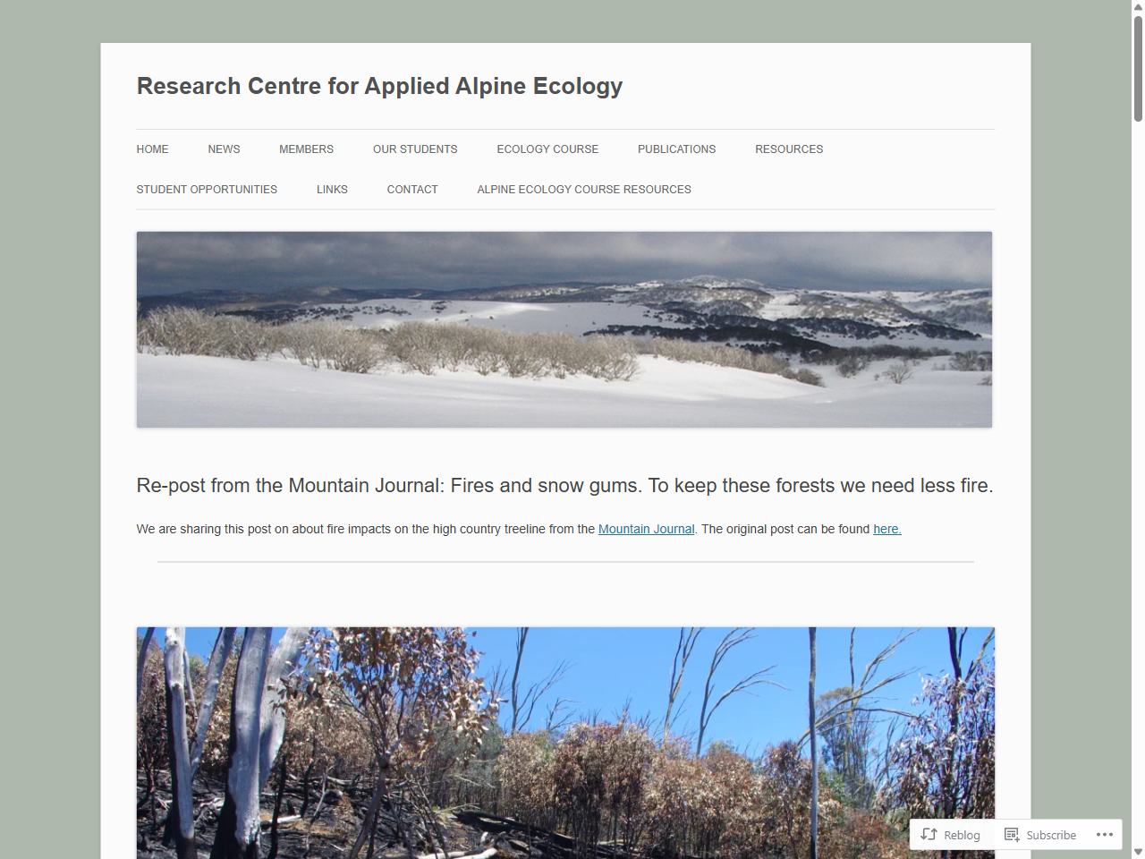 Preview of Re-post from the Mountain Journal: Fires and snow gums. To keep these forests we need less fire., accessed on May 28, 2025