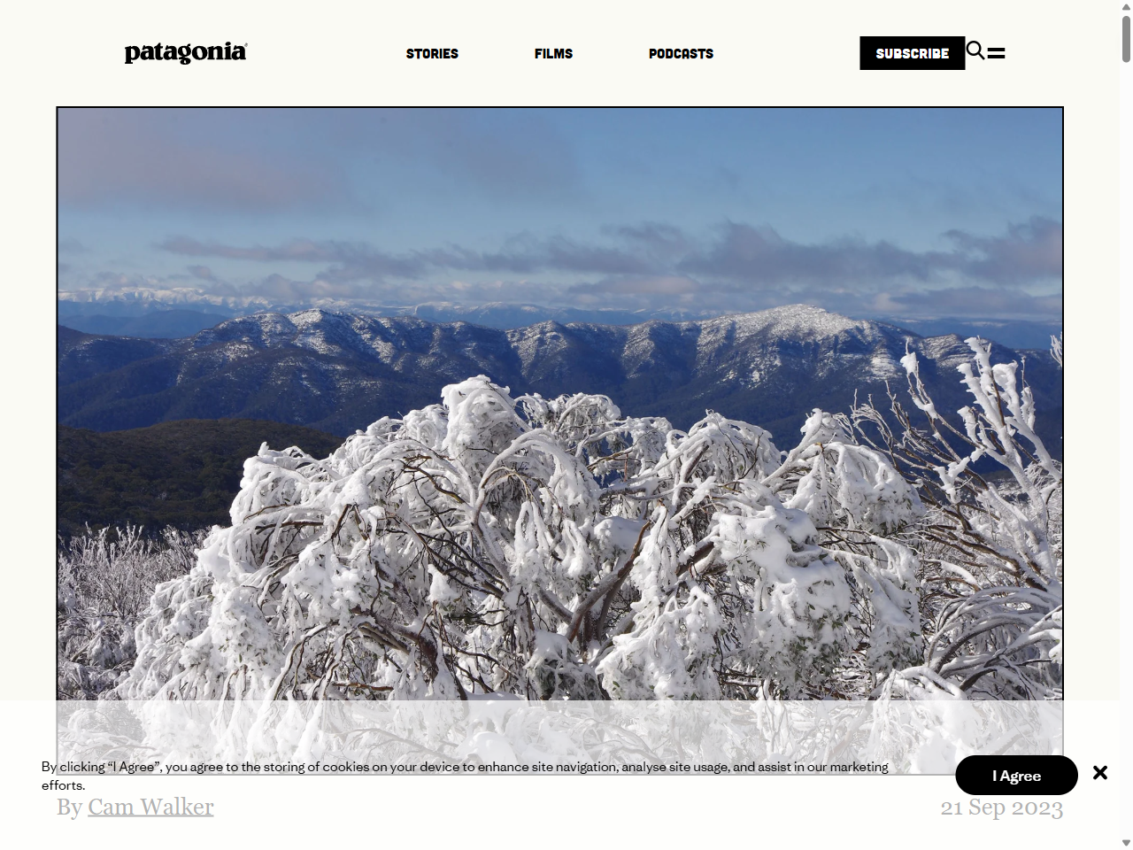 Preview of GHOST FORESTS: AUSTRALIA'S ICONIC SNOW GUMS ARE THE BLEACHING CORALS O - Patagonia, accessed March 28, 2026,