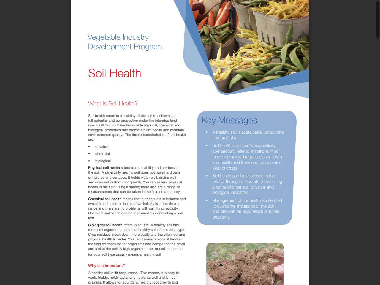 Preview of Soil Health - AUSVEG, accessed July 7, 2025, 