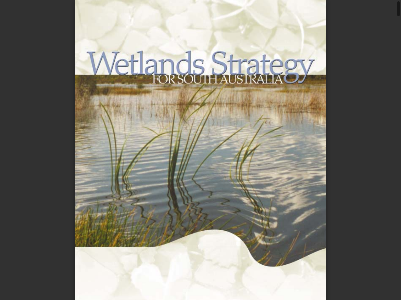 Preview of Wetlands Strategy for South Australia - Department for Environment and Water, accessed July 22, 2025, 