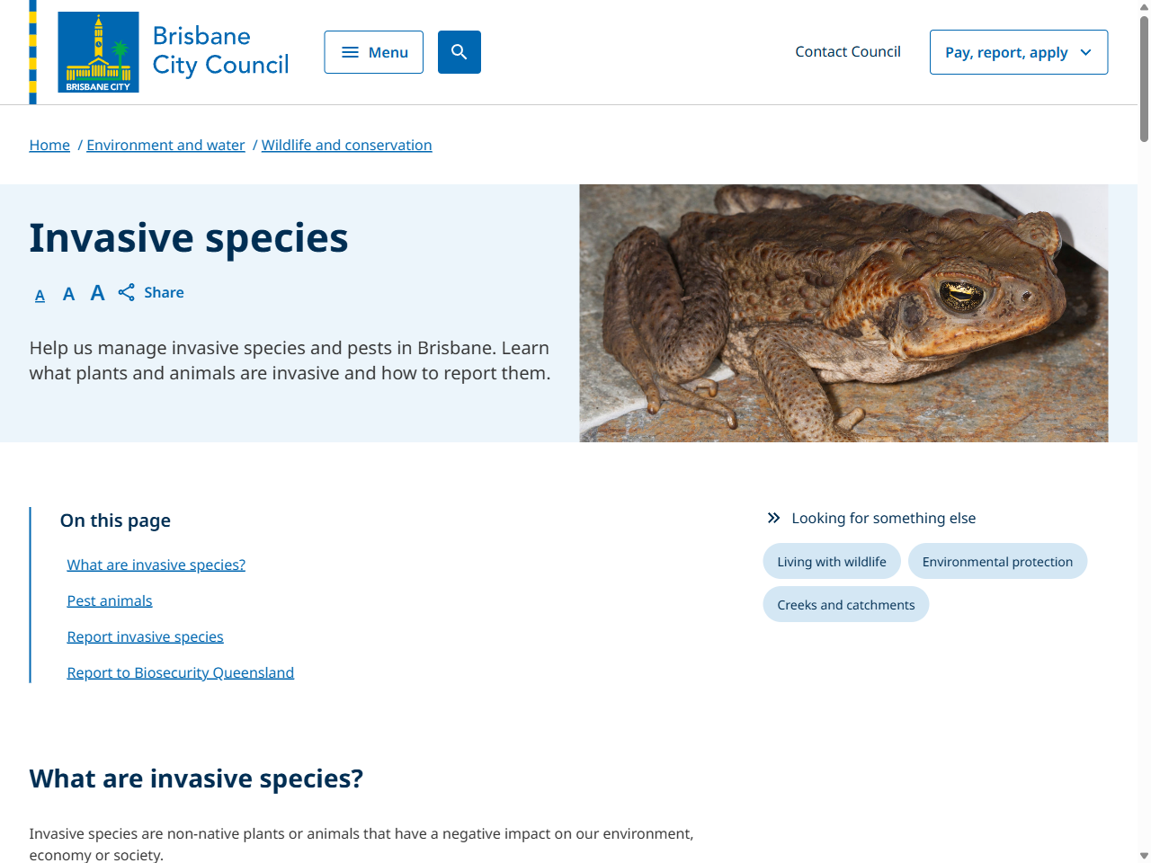 Preview of Invasive species management in Brisbane, accessed July 21, 2025