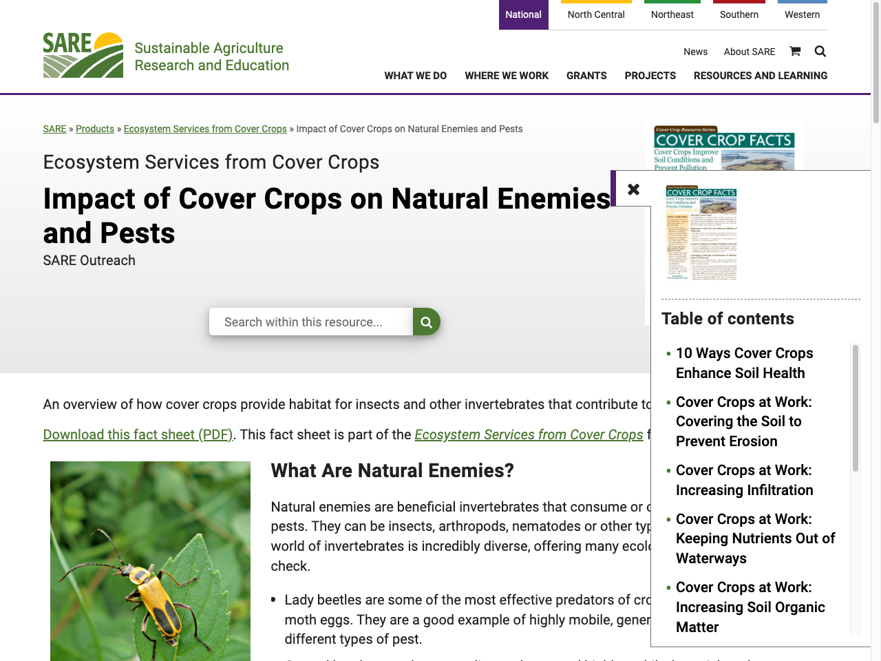 Preview of Impact of Cover Crops on Natural Enemies and Pests - SARE, accessed July 18, 2025, 