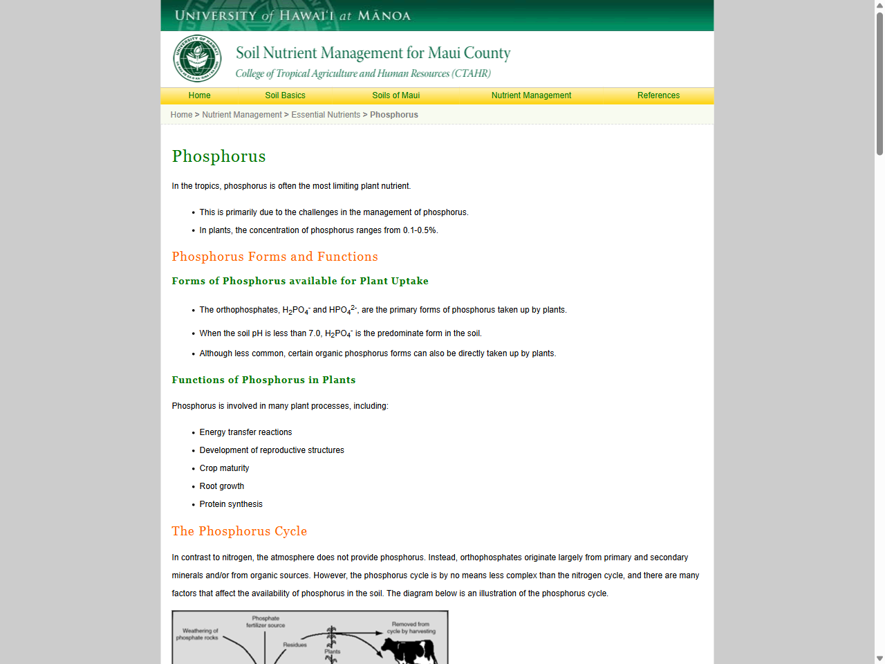 Preview of Why phosphorus is important - NSW Department of Primary Industries, accessed July 22, 2025, 