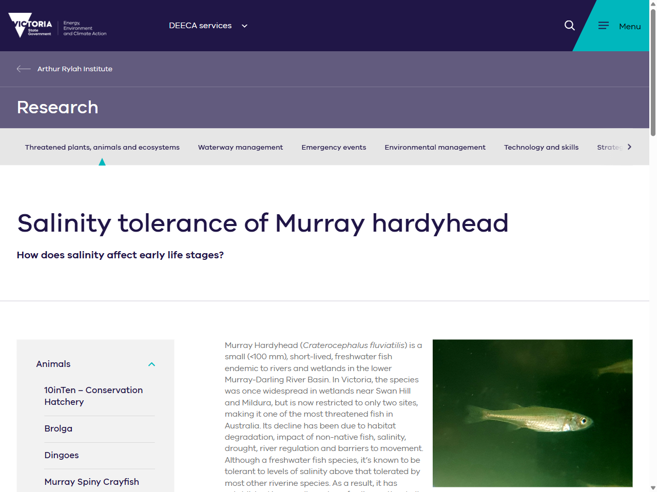 Preview of Salinity tolerance of Murray hardyhead - Arthur Rylah Institute for Environmental Research, accessed August 4, 2025,