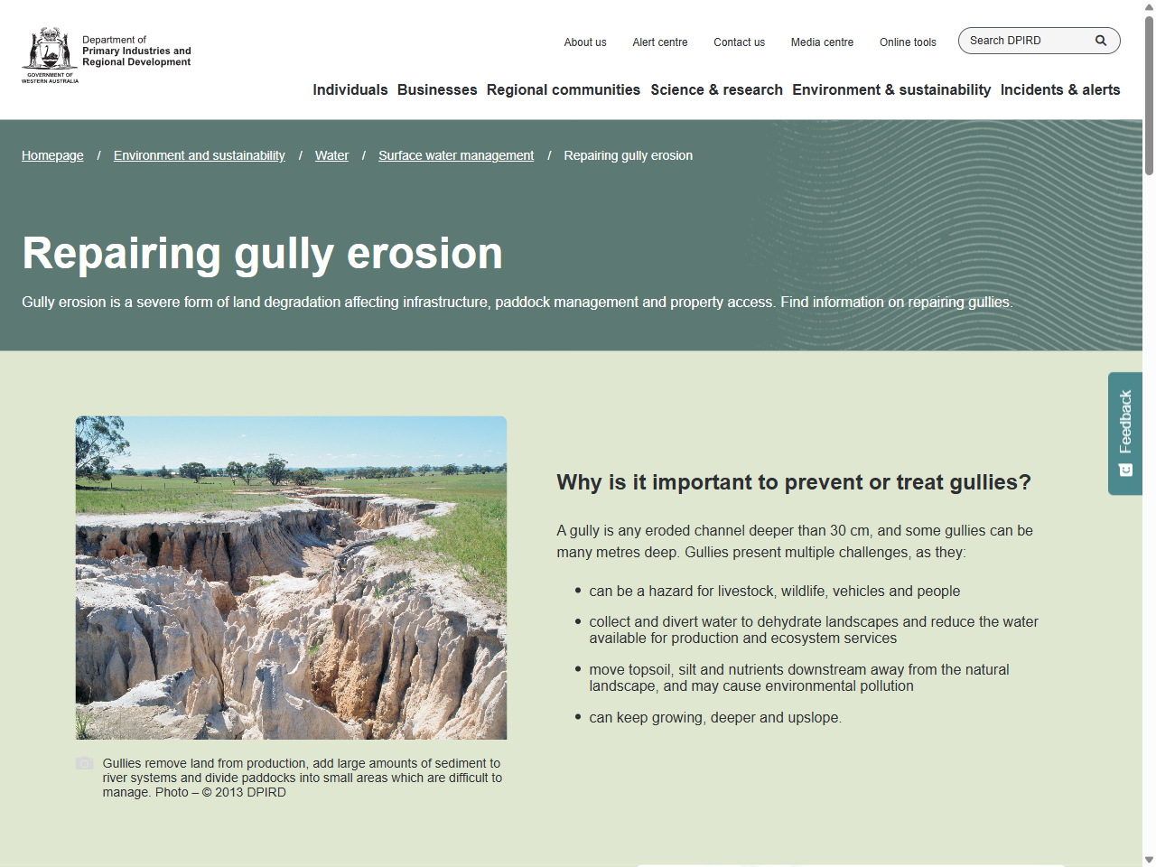 Preview of Repairing gully erosion in Western Australia | Department of Primary Industries and Regional Development, accessed July 13, 2025, 