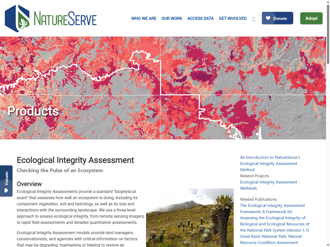 Preview of Ecological Integrity Assessment | NatureServe, accessed July 20, 2025, 