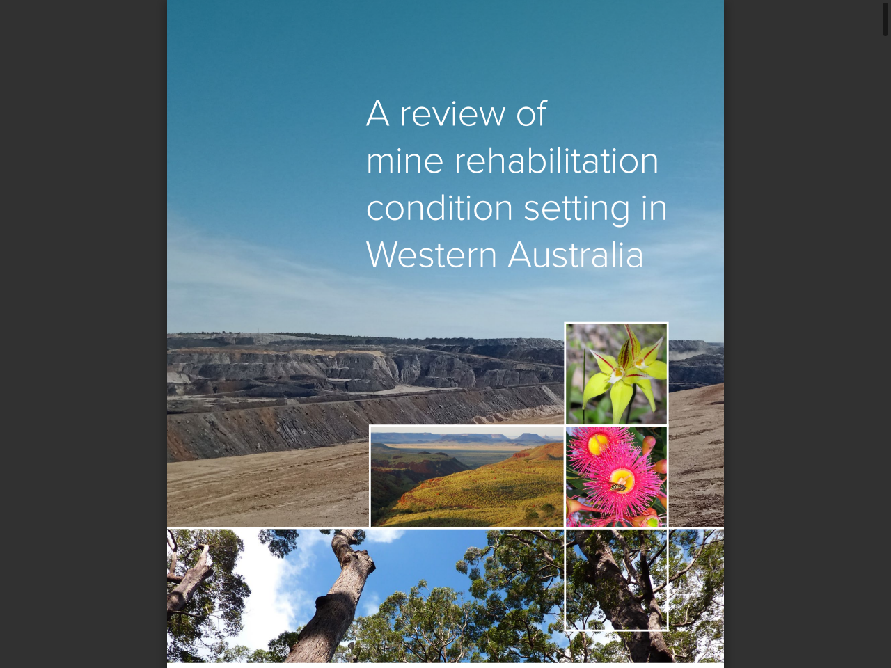 Preview of A review of mine rehabilitation condition setting in Western Australia, accessed August 10, 2025,