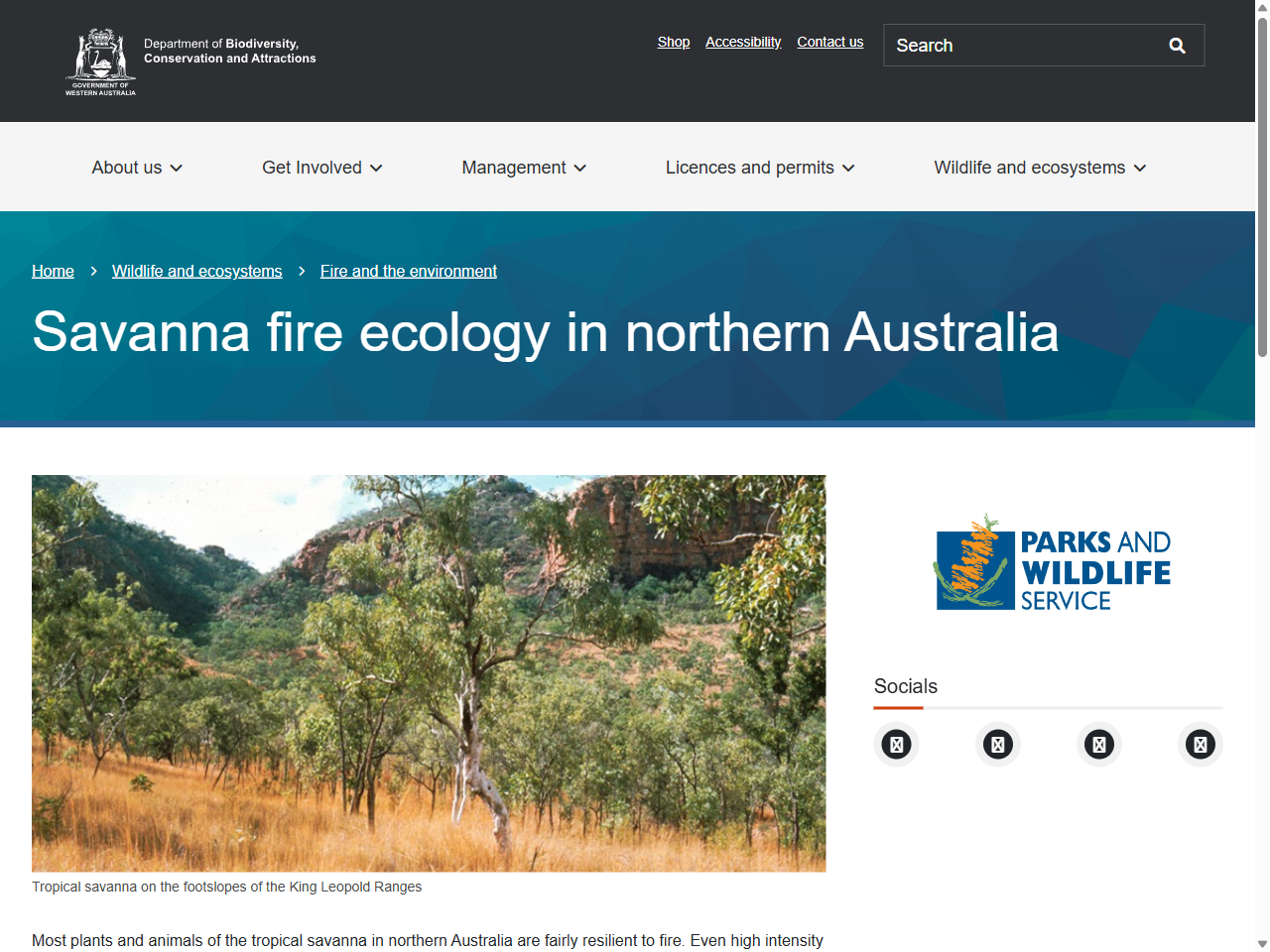 Preview of How Trees and Grasses Grow and Compete (Chapter 7) - Only in Africa, accessed July 23, 2025