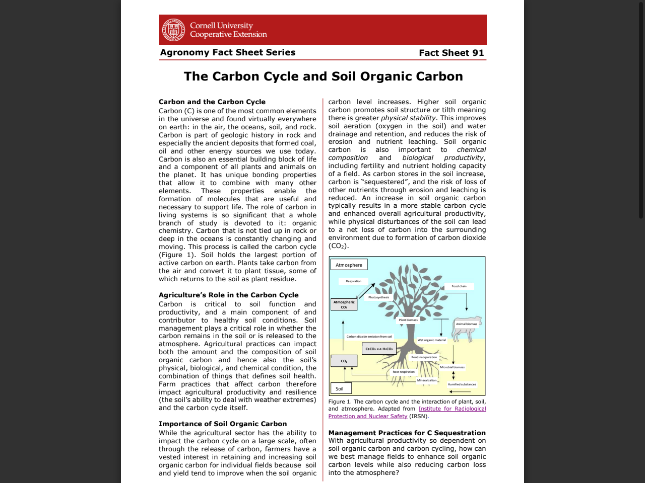 Preview of Nutrient distribution and cycling in a subtropical rainforest in New South Wales, accessed August 28, 2025, 