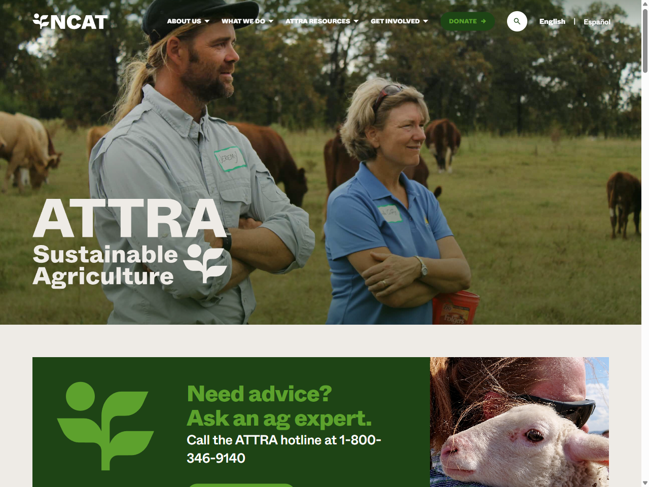Preview of Cover Crop Options for Hot and Humid Areas - ATTRA – Sustainable Agriculture