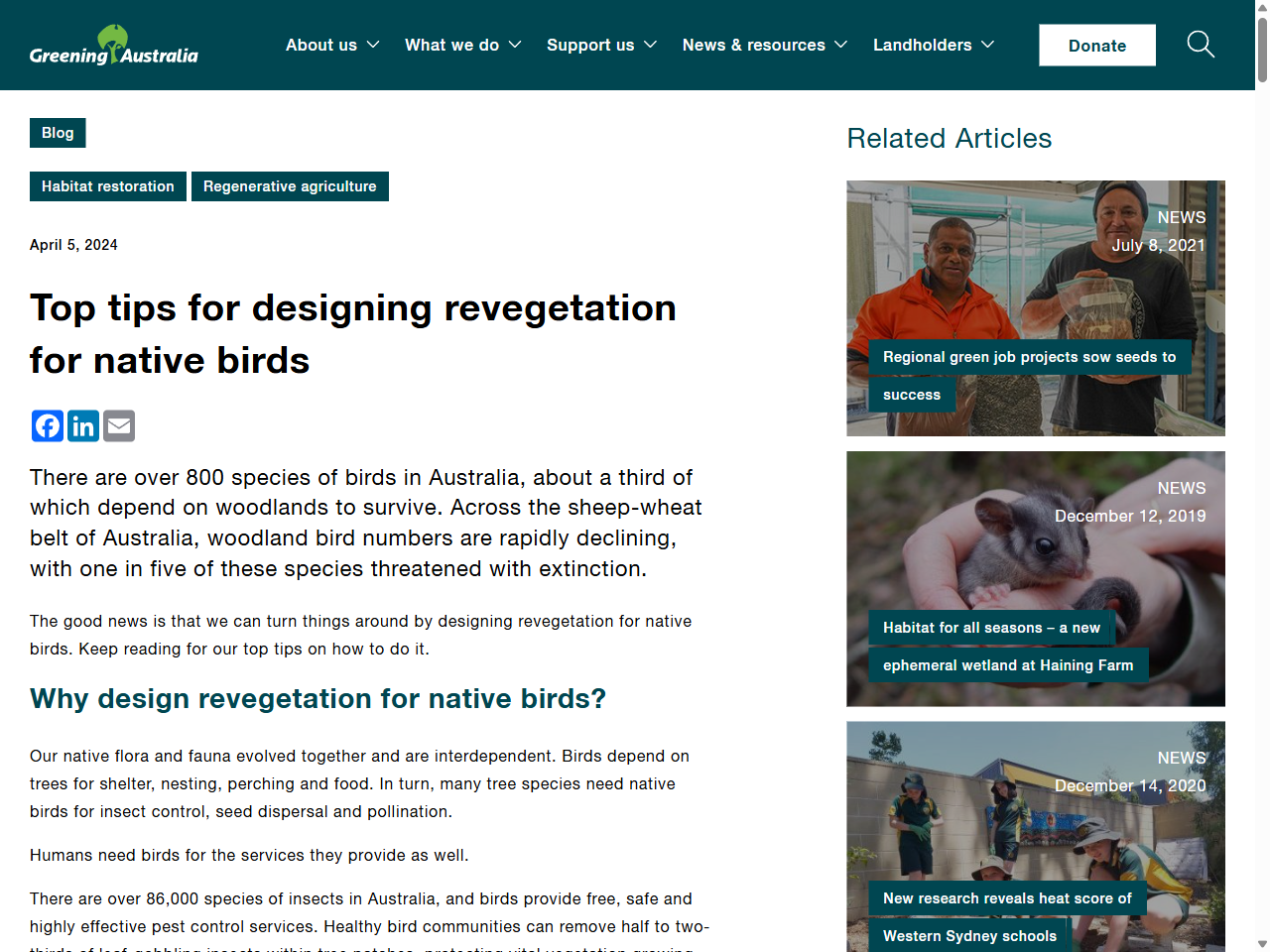 Preview of Top tips for designing revegetation for native birds - Greening Australia, accessed July 10, 2025,